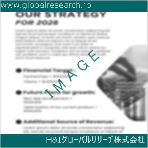 グローバルリサーチ調査資料のイメージ